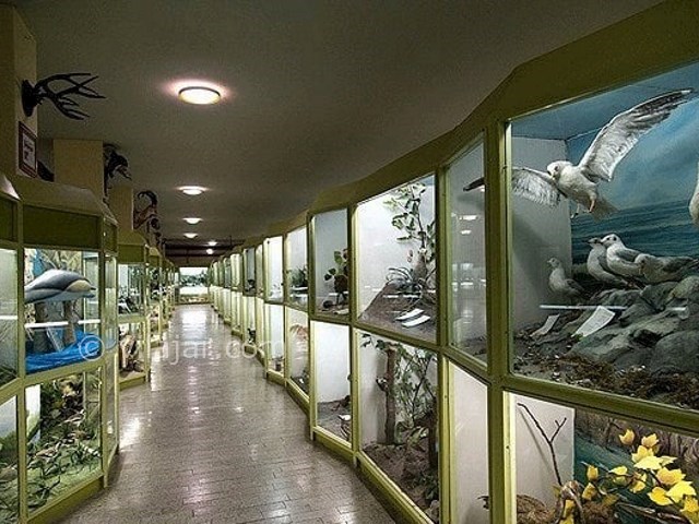عکس اصلی شماره 1 - موزه تاریخ طبیعی همدان