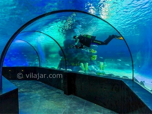 عکس شماره 3 - آکواریوم اصفهان