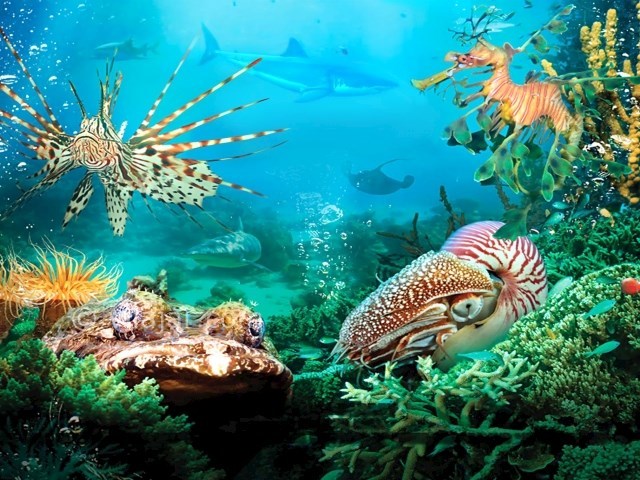 عکس شماره 6 - آکواریوم اصفهان