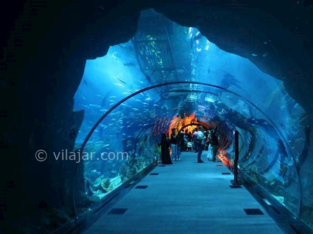 عکس شماره 7 - آکواریوم اصفهان