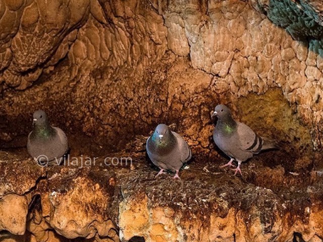 عکس شماره 6 - غار سهولان