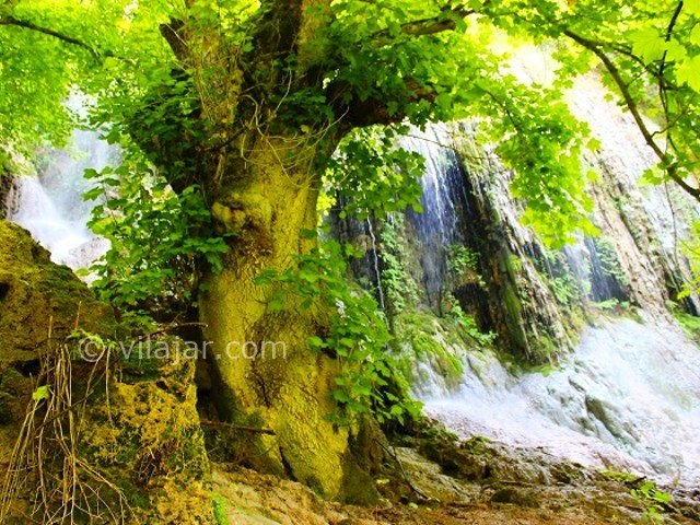 عکس شماره 3 - آبشار و چشمه پیرغار فارسیان