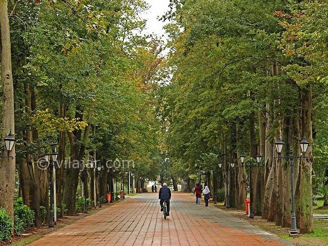 عکس شماره 5 - باغ محتشم رشت