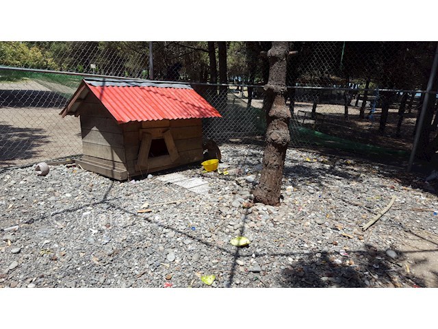 عکس شماره 5 - پارک جنگلی ساحلی قروق