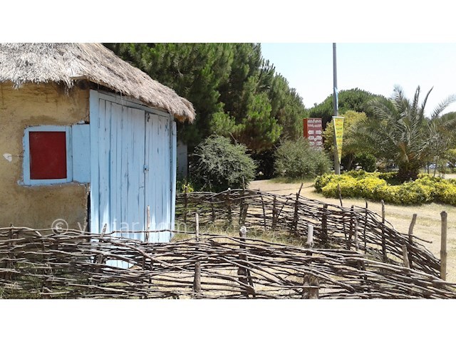 عکس شماره 10 - پارک جنگلی ساحلی قروق