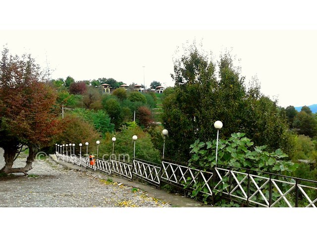 عکس شماره 8 - پارک جنگلی سیاهداران تالش