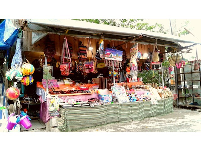 عکس شماره 13 - پارک جنگلی سیاهداران تالش