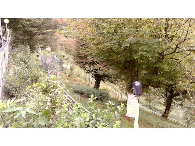 عکس شماره 16 - پارک جنگلی سیاهداران تالش