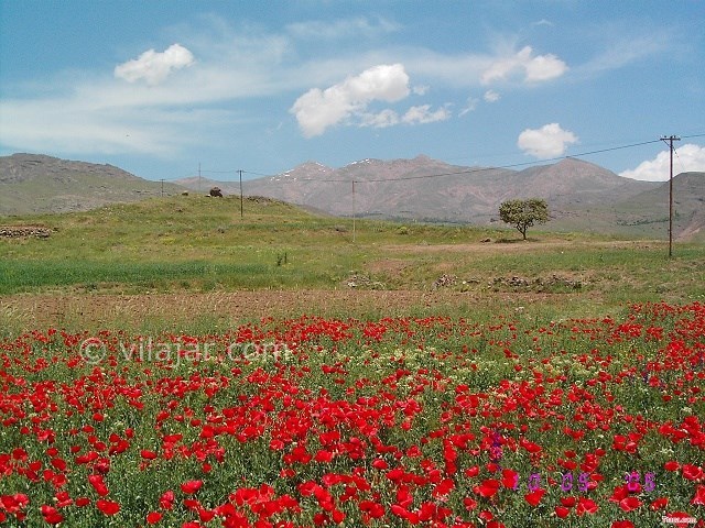 عکس شماره 4 - میگون کجاست؟