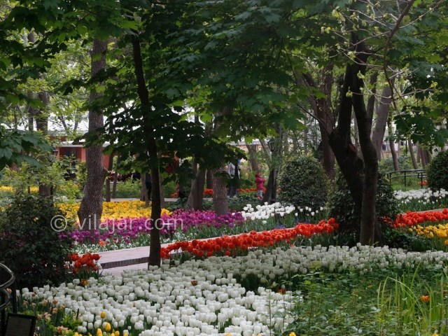 عکس شماره 3 - باغ ایرانی