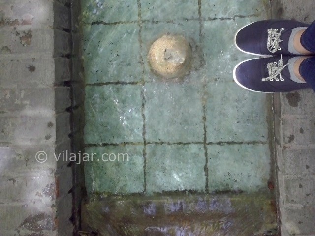 عکس شماره 17 - باغ ایرانی