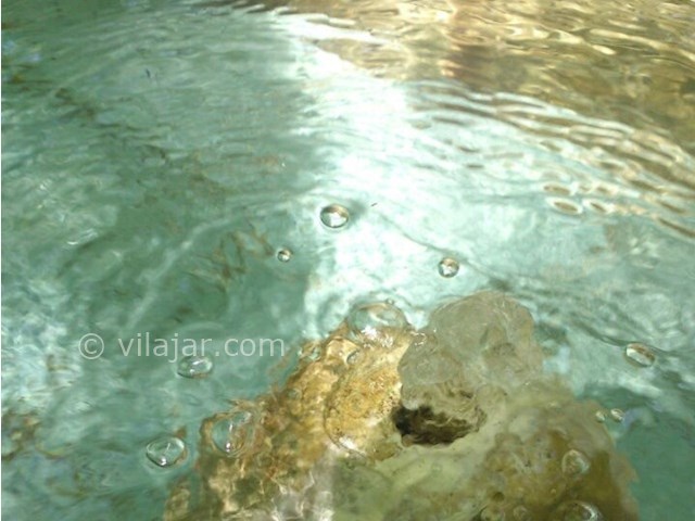 عکس شماره 18 - باغ ایرانی