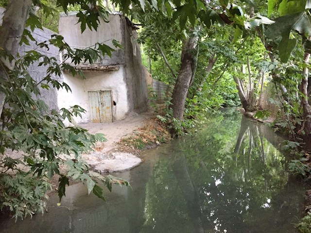 عکس شماره 23 - گردشگرى در باغبهادران اصفهان