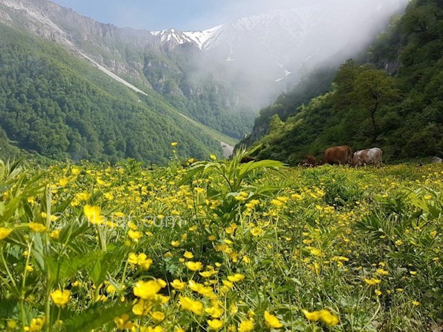 عکس شماره 6 - دشت دریاسر کجاست؟