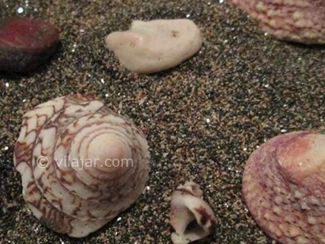 عکس شماره 8 - ساحل نقره فام جزیره هنگام