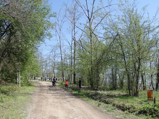 عکس شماره 8 - روستا و پارک جنگلی بابلکنار