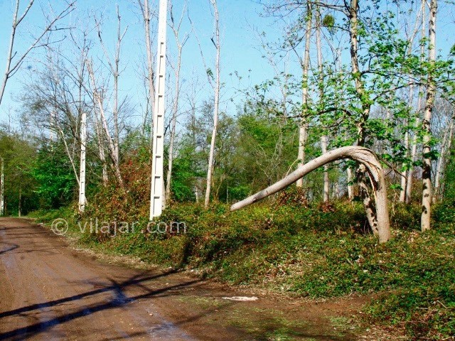عکس شماره 9 - روستا و پارک جنگلی بابلکنار