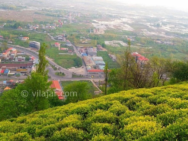 عکس شماره 4 - بام سبز لاهیجان