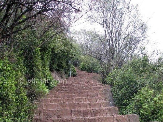 عکس شماره 7 - بام سبز لاهیجان