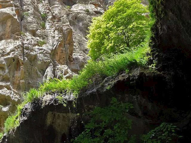 عکس شماره 6 - تنگه لیتون