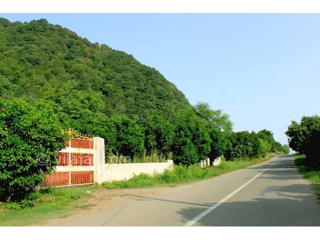 عکس شماره 13 - جاذبه های گردشگری رامسر