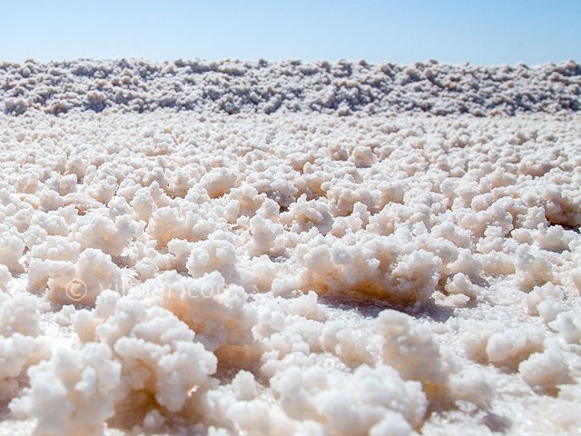 عکس شماره 6 - دریاچه حوض سلطان