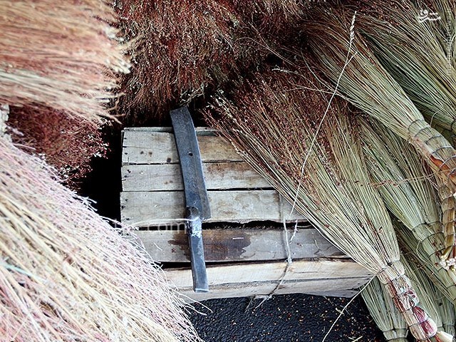 عکس شماره 3 - جاروبافی در امیرکلا بابل