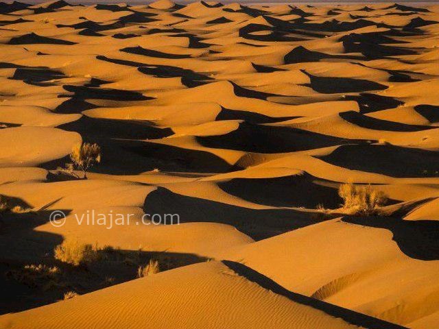 عکس شماره 7 - کویر مصر