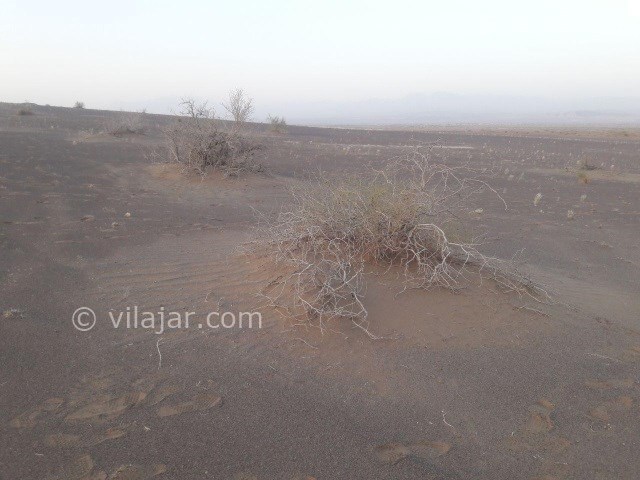 عکس شماره 13 - کویر ابوزید آباد