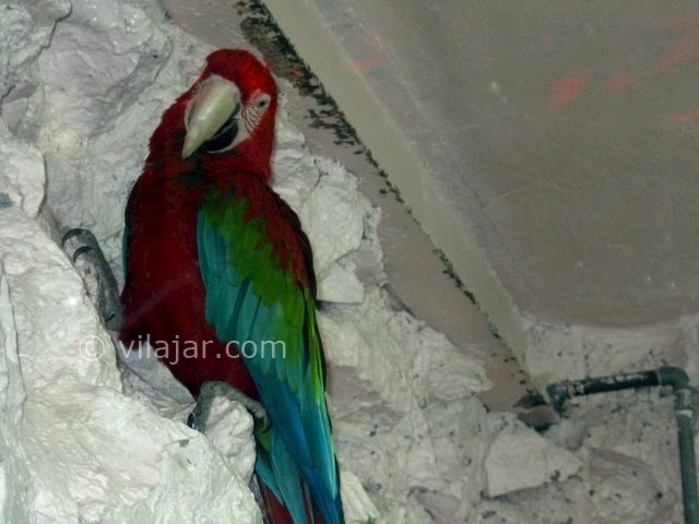 عکس شماره 4 - باغ پرندگان اصفهان