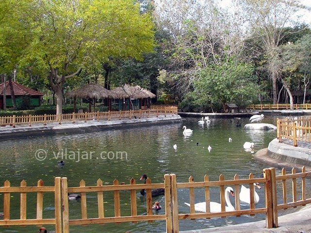 عکس شماره 7 - باغ پرندگان اصفهان