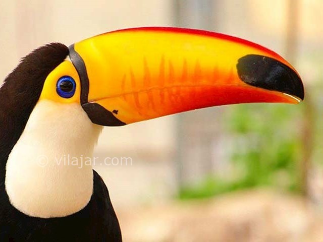 عکس شماره 9 - باغ پرندگان اصفهان