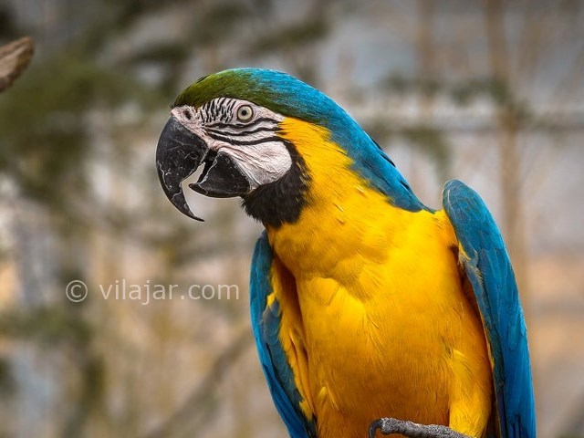 عکس شماره 12 - باغ پرندگان اصفهان