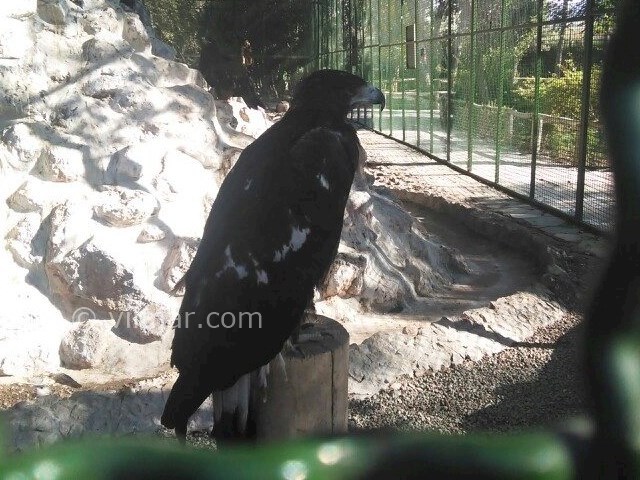 عکس شماره 14 - باغ پرندگان اصفهان