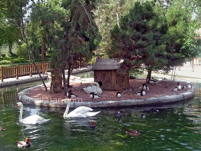 عکس شماره 23 - باغ پرندگان اصفهان