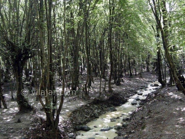 عکس شماره 3 - پارک جنگلی النگدره