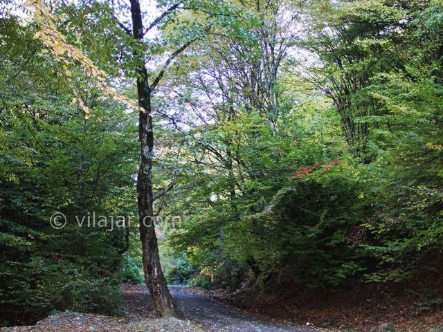 عکس شماره 4 - پارک جنگلی النگدره