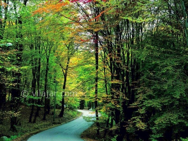 عکس شماره 5 - پارک جنگلی النگدره