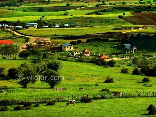 عکس شماره 4 - ییلاق دیلمان