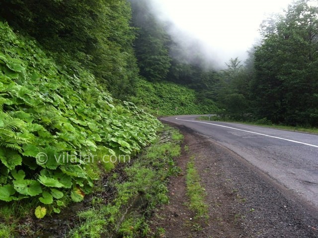عکس شماره 9 - ییلاق دیلمان