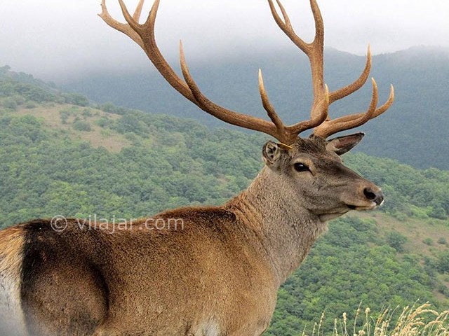 عکس شماره 10 - منطقه ارسباران