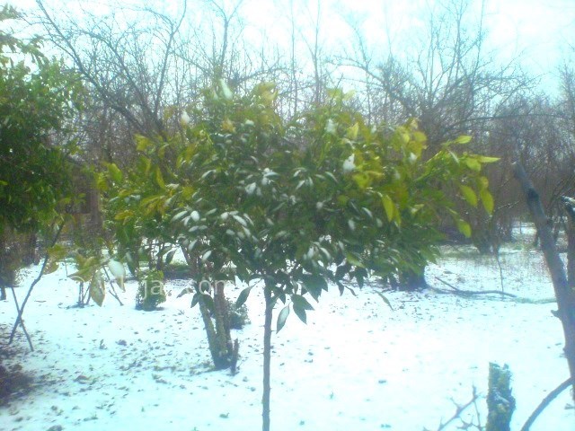 عکس شماره 3 - دهکده ساحلی چپرپرد زمان