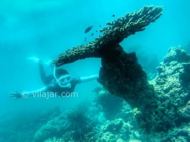 عکس شماره 5 - غواصی در جزیره کیش