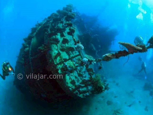 عکس شماره 6 - غواصی در جزیره کیش