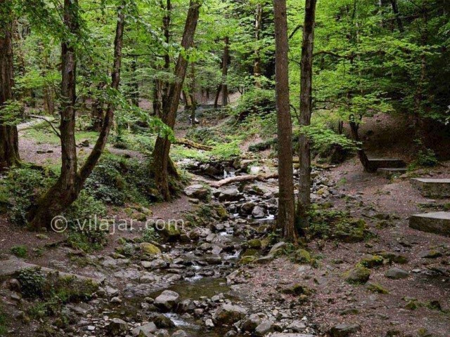 عکس شماره 3 - آبشار لونک سیاهکل