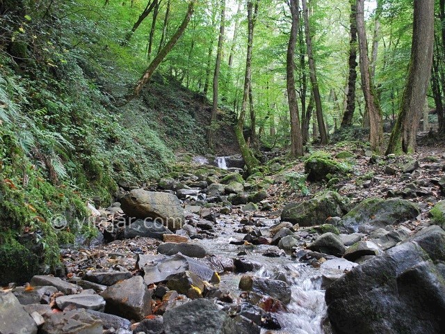 عکس شماره 4 - آبشار لونک سیاهکل