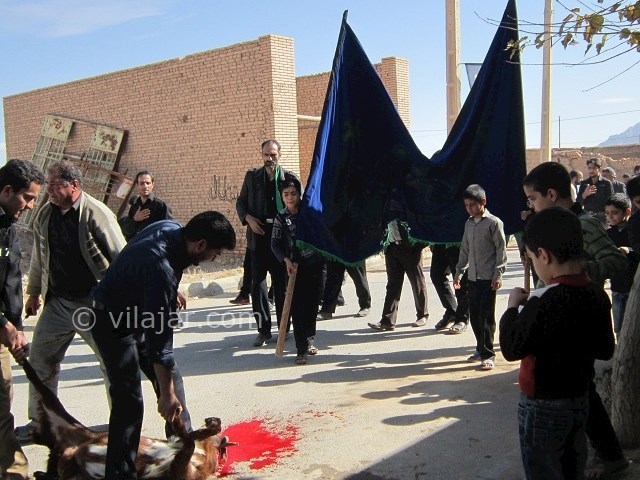 عکس شماره 5 - مراسم پرسه زنی تاسوعا در یزد