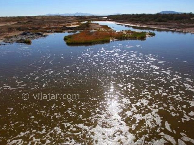 عکس شماره 6 - تالاب گاوخونی