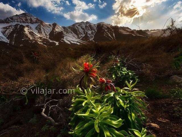 عکس شماره 6 - منطقه گردشگری گلستانکوه