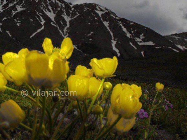 عکس شماره 8 - منطقه گردشگری گلستانکوه